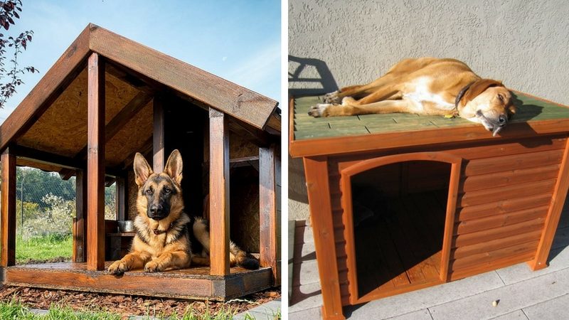 בית כלבים מעץ