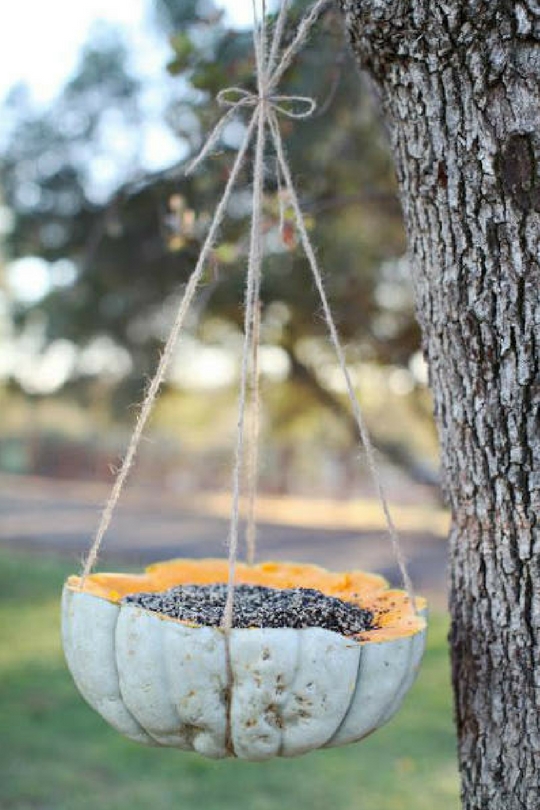 Bird pocket with seeds