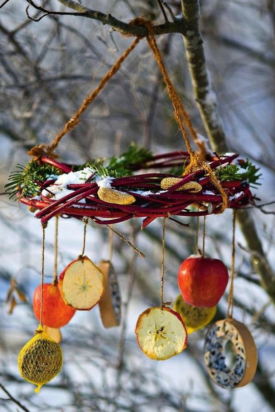 Bird box made of apples