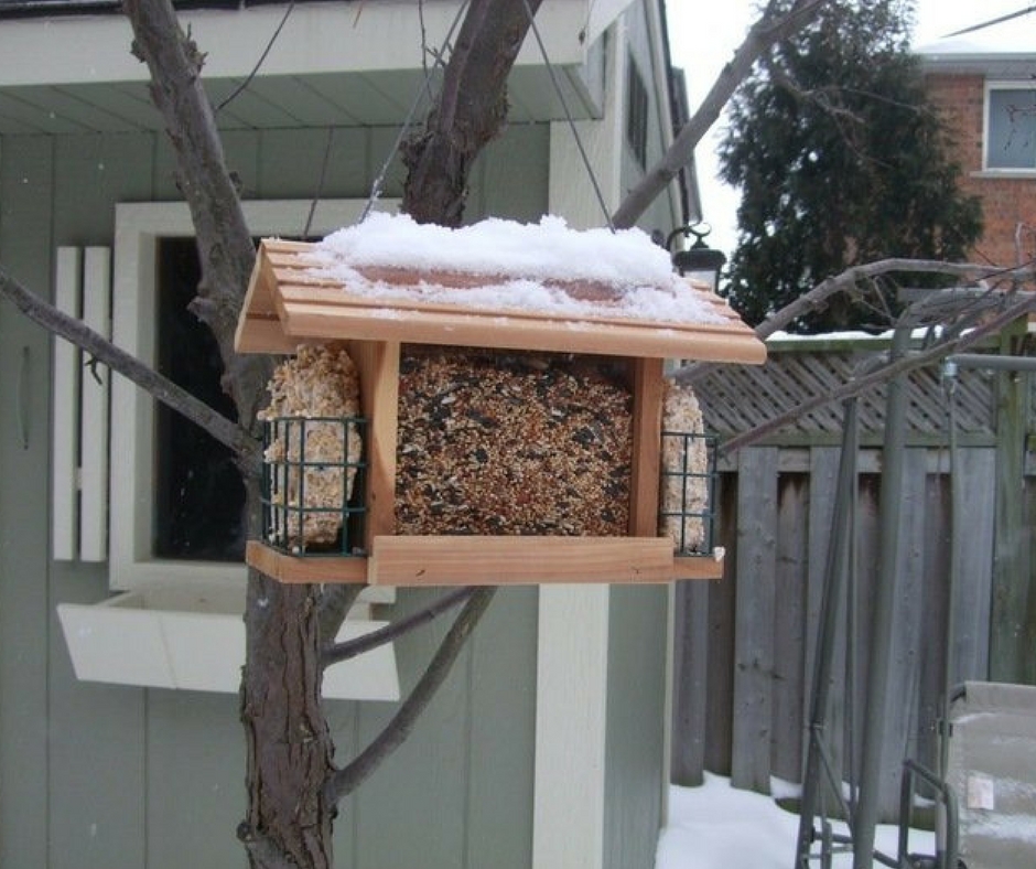 Poche pour oiseaux avec graines