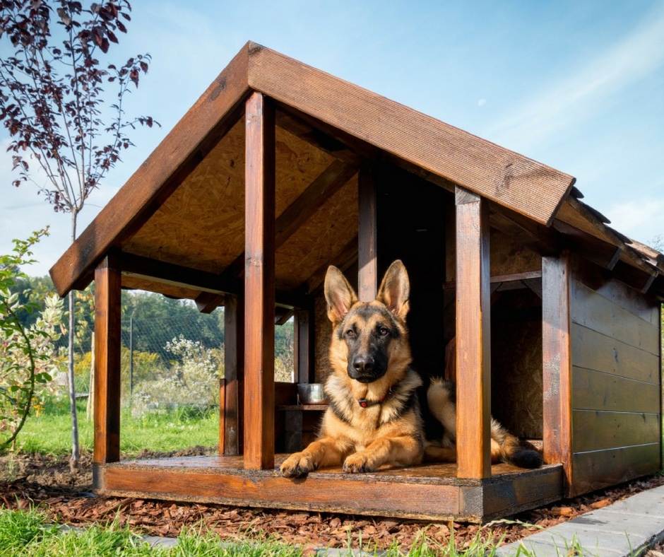 Dřevěná bouda pro psy