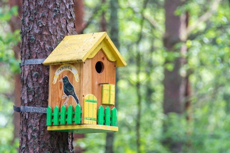 Birdhouse made of wood