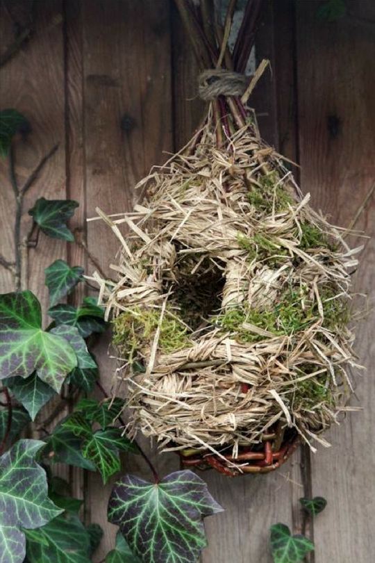 Bird nest