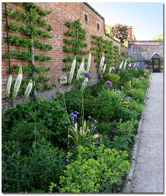 Vertical garden