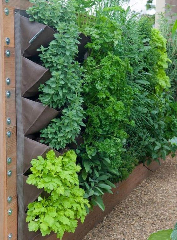 Diy vertical beds