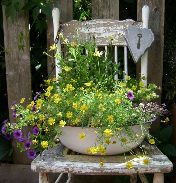 Květiny ve starém kbelíku