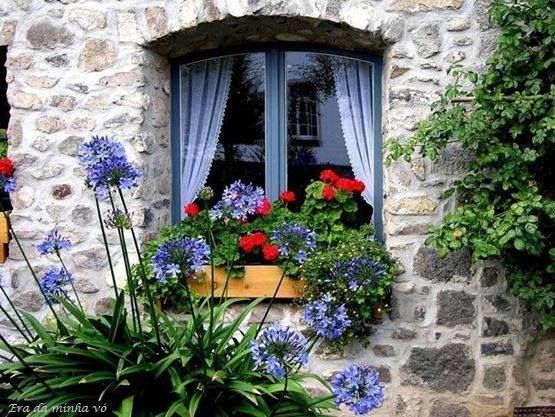 Květná zahrada na okně