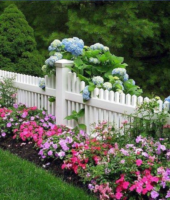 Květná zahrada podél plotu