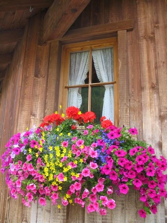 Květná zahrada na okně