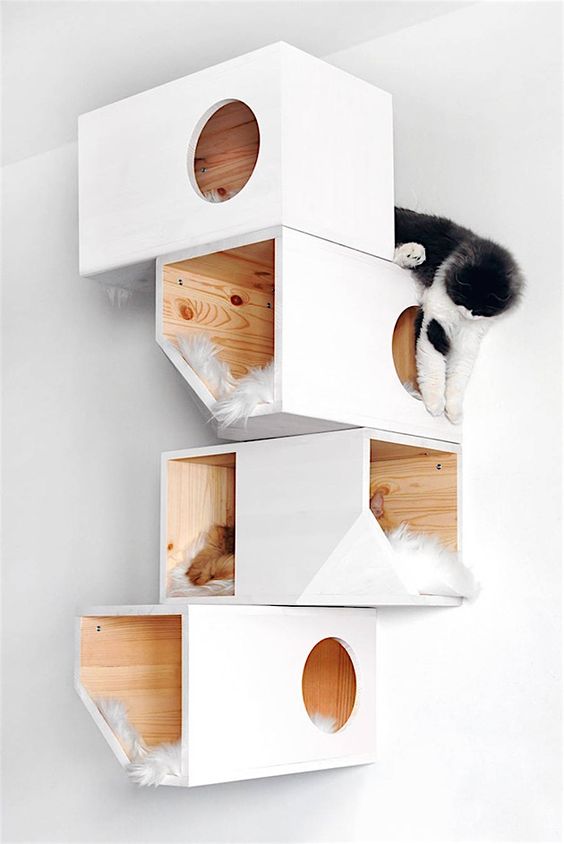 Houses for cats