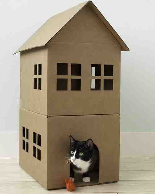 Houses for cats