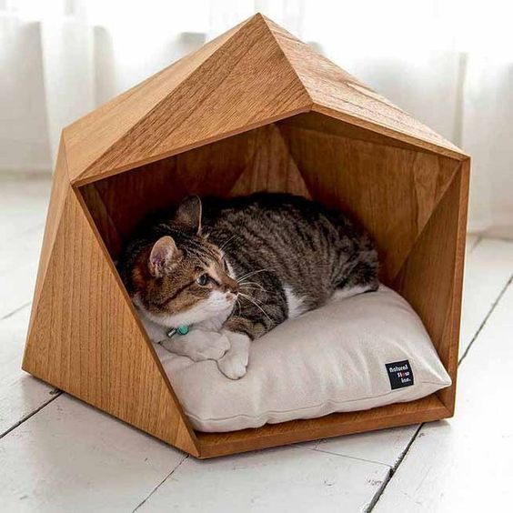 Houses for cats