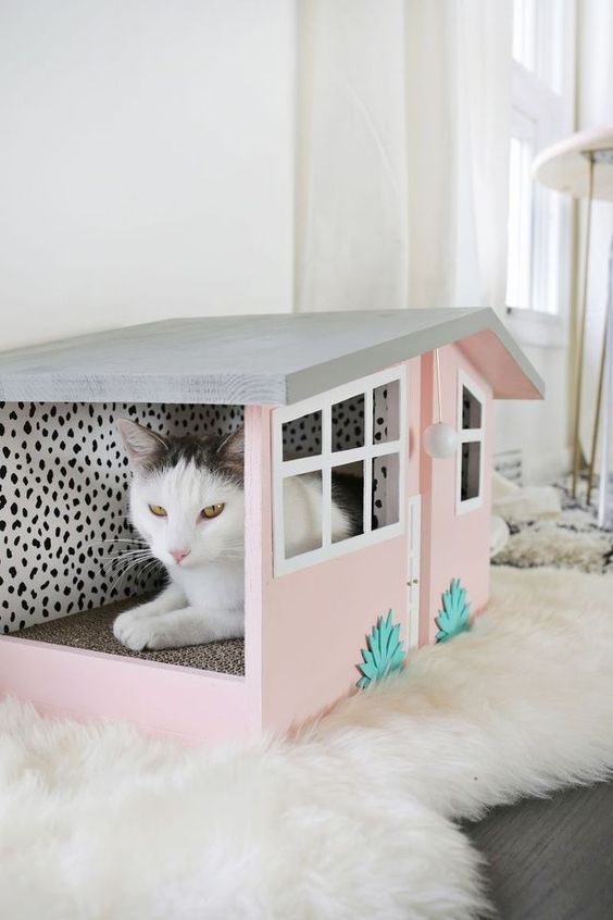 Houses for cats