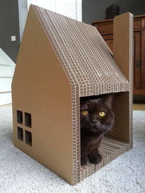 Houses for cats