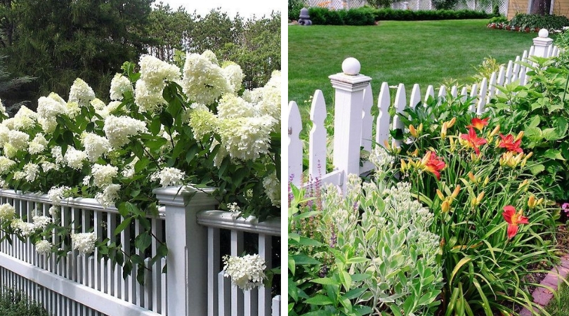 Dekorativní plot v bílé barvě