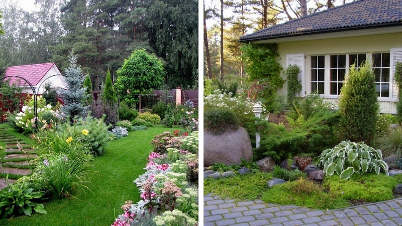 Landscaping of a summer cottage