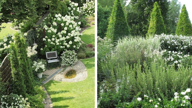 Aménagement paysager du jardin lunaire