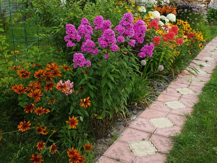 Conception de parterre de fleurs