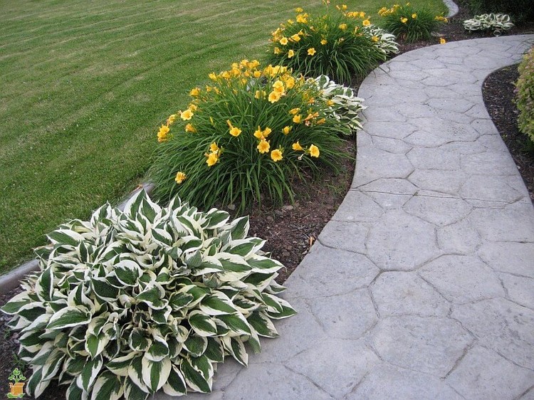 Conception de parterre de fleurs