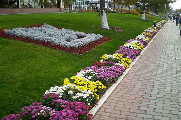 Conception de parterre de fleurs