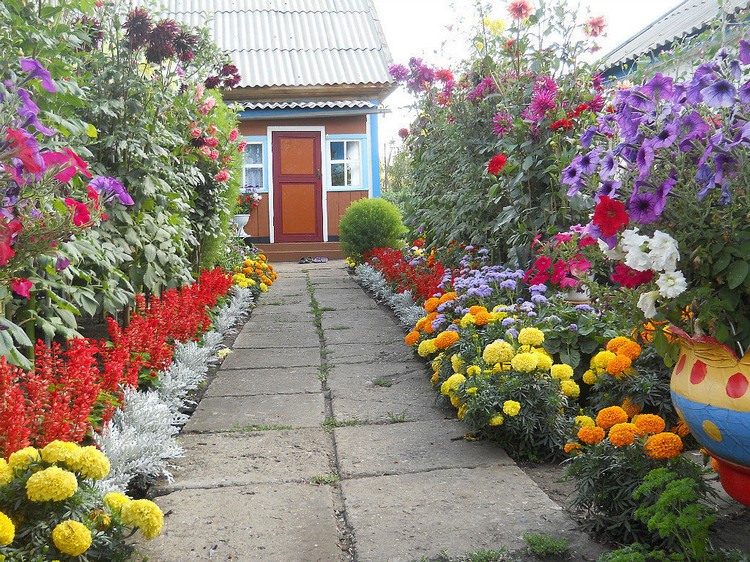 Conception de parterre de fleurs