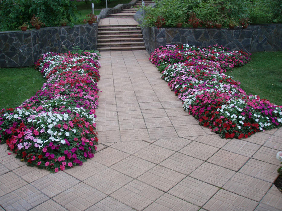 Conception de parterre de fleurs