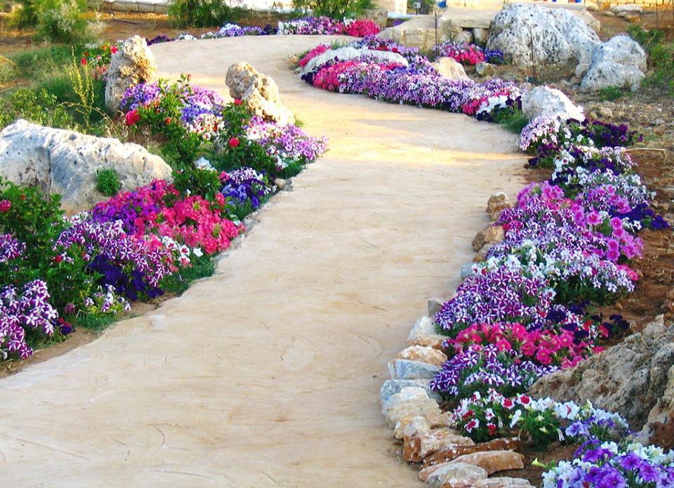 Conception de parterre de fleurs