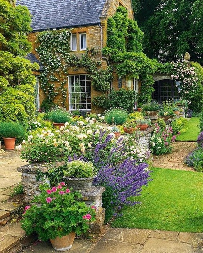 Conception de parterre de fleurs devant la maison