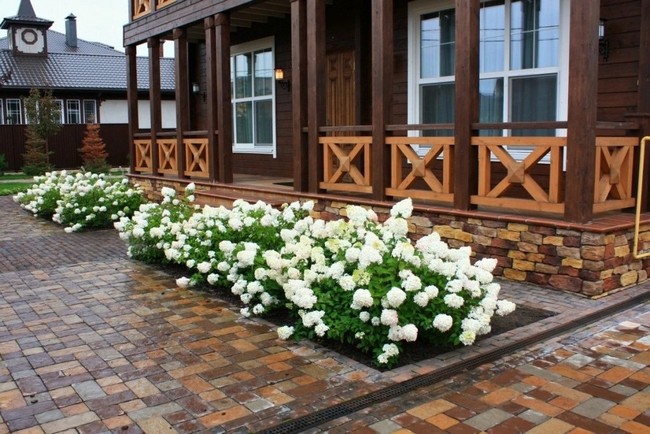 Conception de parterre de fleurs devant la maison