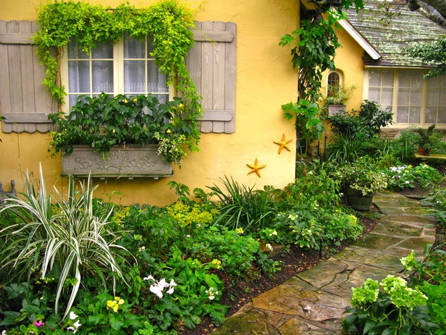 Conception de parterre de fleurs devant la maison