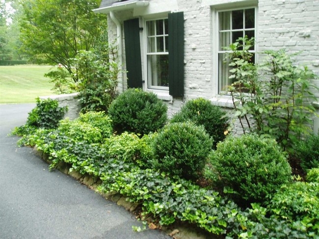 Conception de parterre de fleurs devant la maison