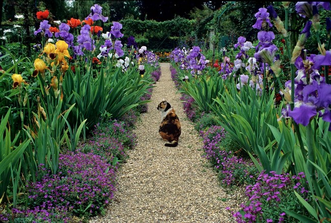 Landscaping of a garden plot