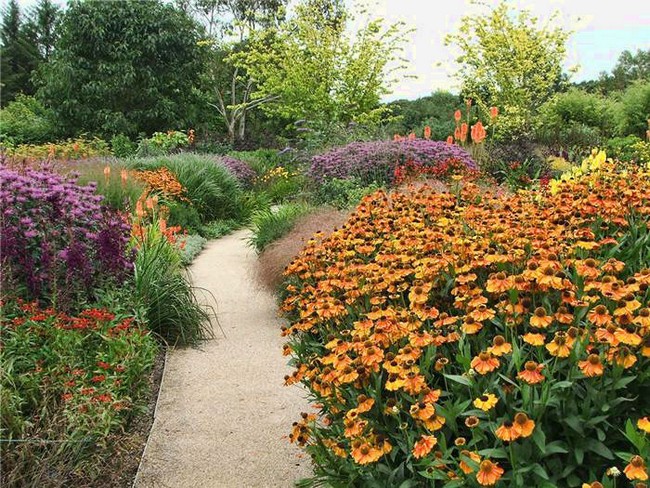 Aménagement paysager d'une parcelle de jardin