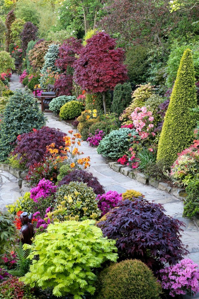 Aménagement paysager d'une parcelle de jardin