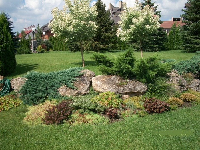 Landscaping of a site with a rock garden