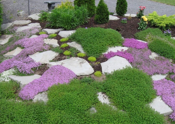 Landscaping of a site with a rock garden