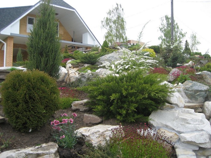 Landscaping of a site with a rock garden