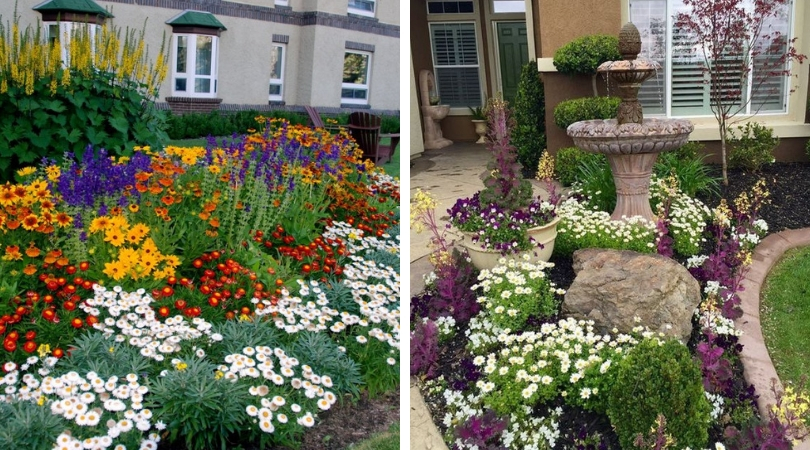 Flowerbeds near the house