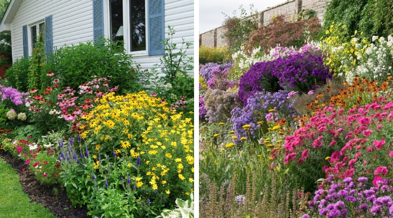 Parterres de fleurs paysagers dans le jardin