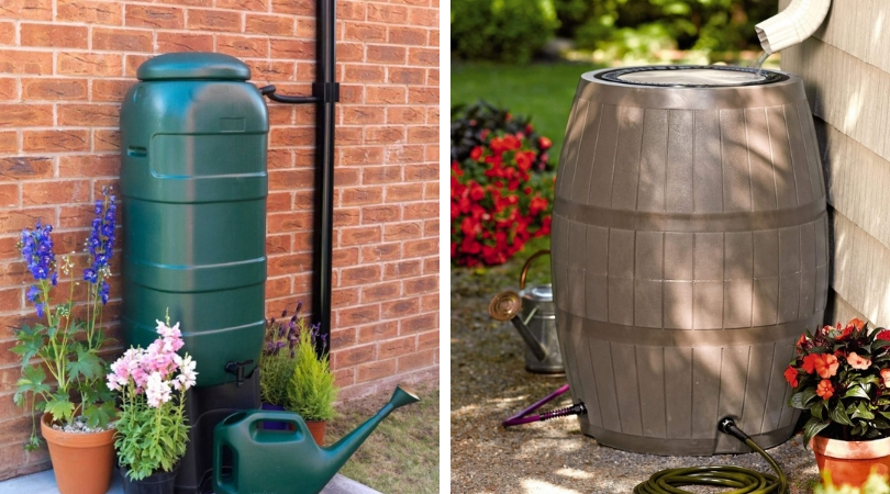 Container for collecting rainwater