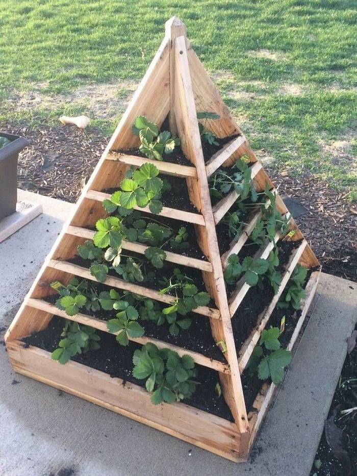 Flower bed for strawberries