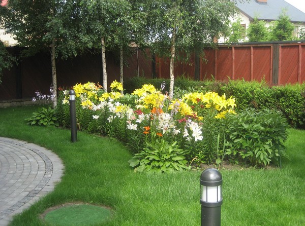 Flowerbeds near the house