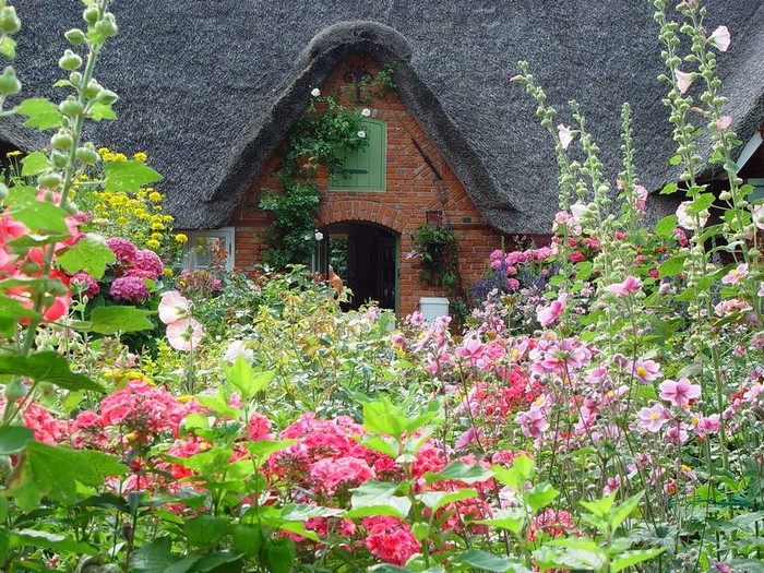 Zahrada chaty