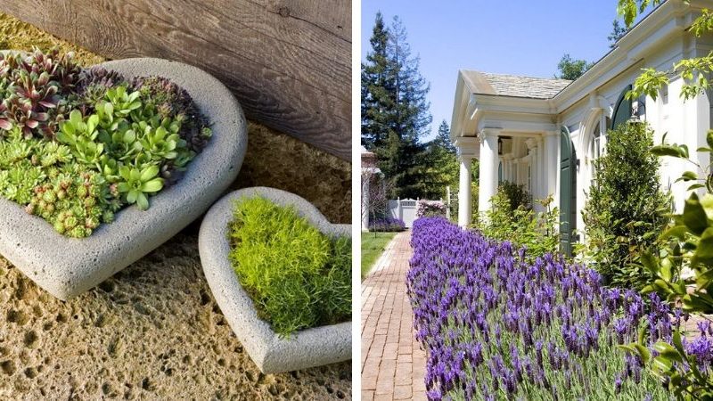 garden ideas