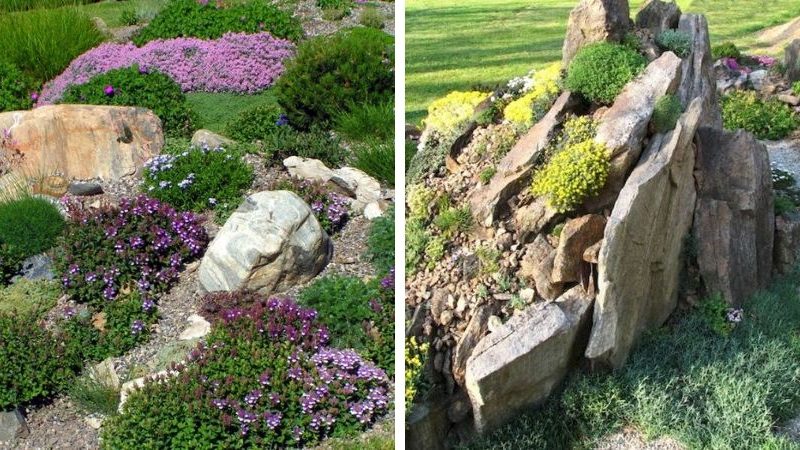 parterre de fleurs avec des pierres