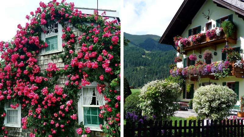 maison de campagne en fleurs