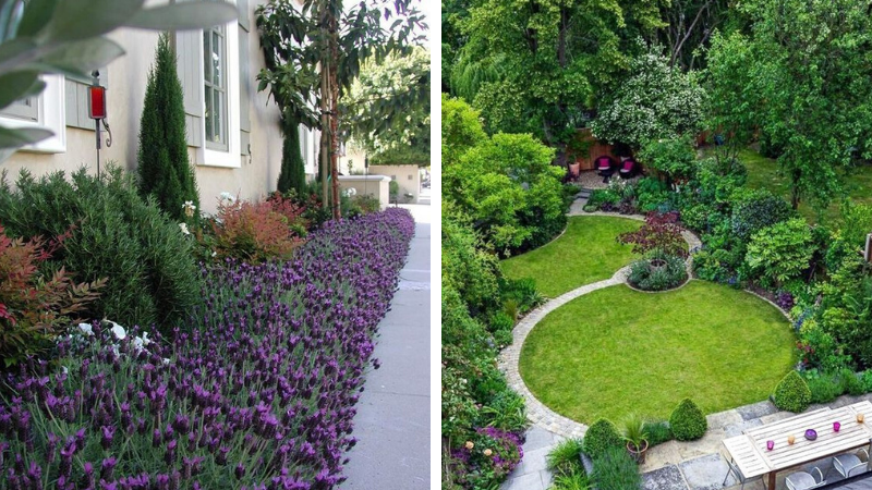 Landscaping ideas