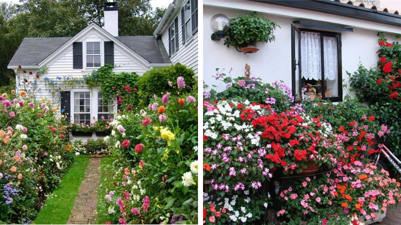 flower beds in the country