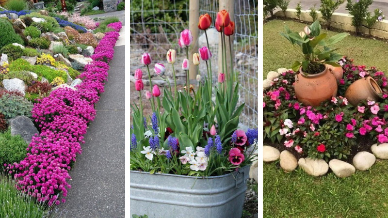 Beautiful flower beds near the house