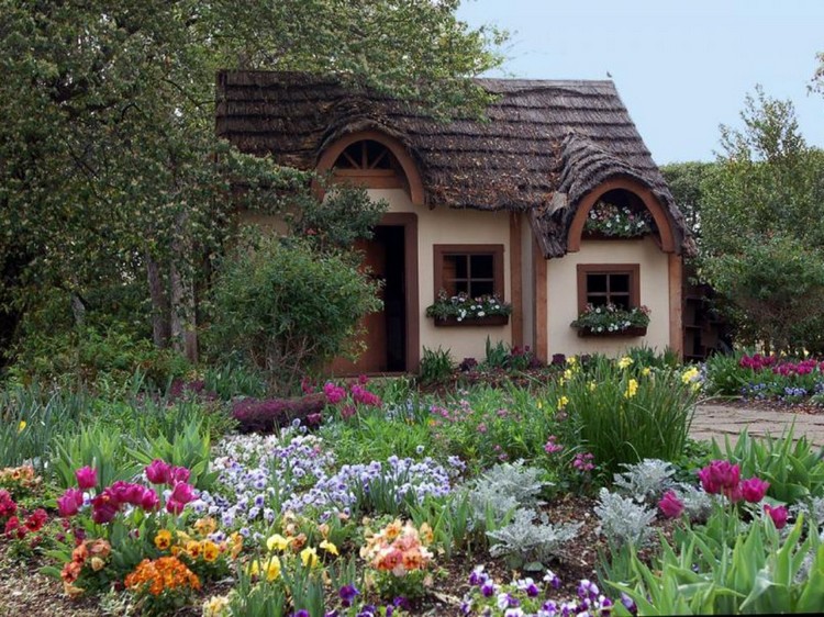 parterres de fleurs à la campagne